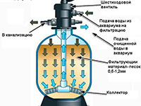 Разрез фильтра, схема циркуляции